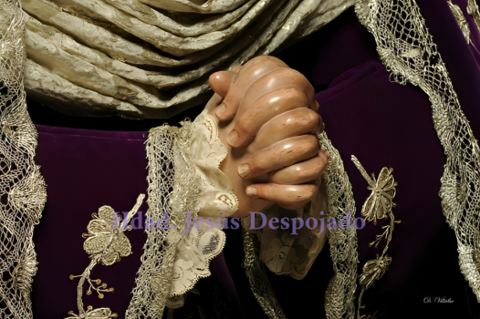 Mayor_Dolor_5